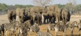 /album/photo-gallery/croppedimage835370-hwange-national-park-zimbabwe-safari2-jpg/